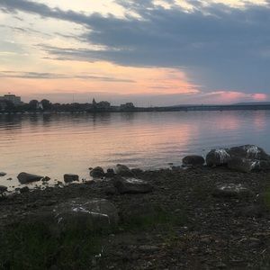 Meet your Posher, Lucy